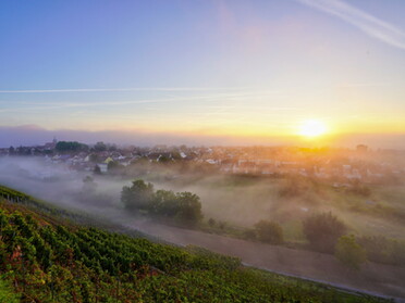 12.09.2021 - Ulrich Seidel - Nebelstimmung am Morgen