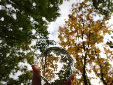 05.10.2021 - Hannah Lorenz - Erstes Herbstlaub am Kaywald