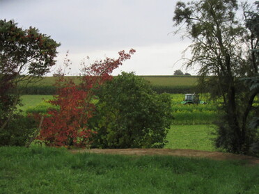 12.10.2021 - Urban Böhner-Stamm - Siegersgrund