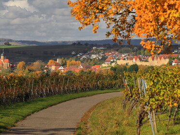 23.10.2021 - Frank-M. Zahn - Herbst in den Lauffener Weinbergen