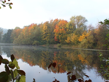 28.10.2021 - Stefan Hautzinger - Herbst am Seeloch