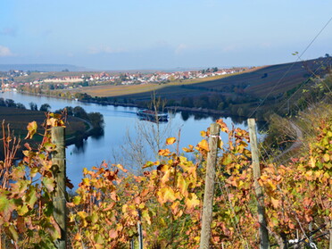 28.10.2021 - Martin Braunbeck - Blick vom Herrlesberg auf Lauffen a.N.