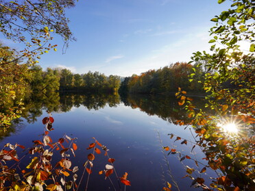 29.10.2021 - Ulrich Seidel - Goldener Oktober am Seeloch II  (mittlerer See)