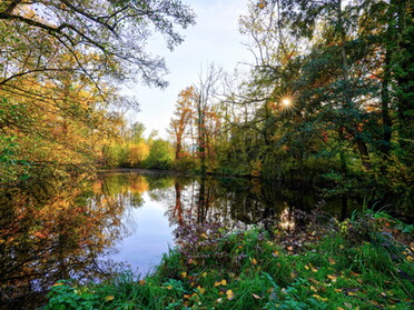 29.10.2021 - Ulrich Seidel - Goldener Oktober am Seeloch I (Vorderer See)