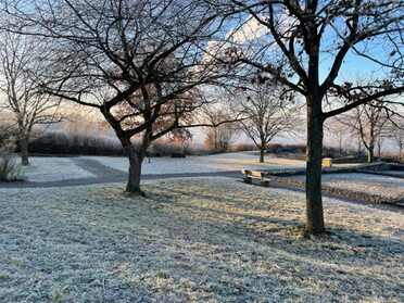 21.12.2021 - Manuela Krautwasser- Der Morgen nach der Wintersonnenwende - ein neuer Anfang