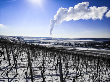 11.02.2021 - Werner Ohsam - Winter in den Lauffener Weinbergen