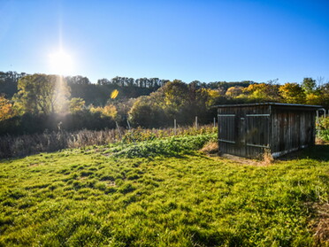 24.10.2021 - Werner Ohsam - Herbststimmung am Kaywald