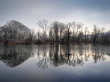 25.01.2022 - Ulrich Seidel - Morgenstimmung am Seeloch