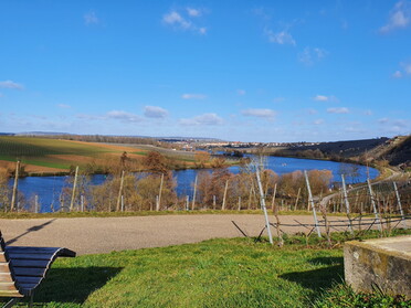 19.02.2022 - Birgit Sautter - Ruhebänkle mit Aussicht auf Lauffen