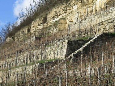 19.02.2022 - Dieter Herrmann - Weinberg am Prallhang