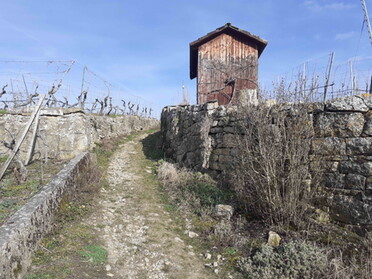 24.02.2022 - Dieter Herrmann - Altes Weinberghüttle