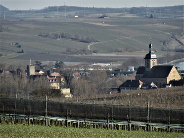 28.02.2022 - Urban Böhner-Stamm - Blick auf Lauffen von Süden