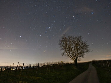 23.02.2022 - Ulrich Seidel - Sternenhimmel über den Weinbergen von Lauffen