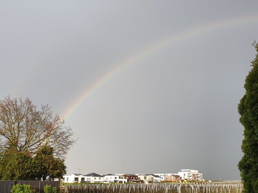 07.04.2022 - Hannah Lorenz - Regenbogen 