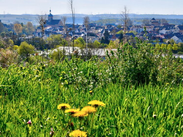 18.04.2022 - Martin Brauneck - Lauffen a.N., gesehen vom Geigersberg