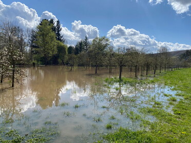 09.04.2022 - Uwe Milbradt - An der Zaber nach dem großen Regen