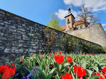 16.04.2022 - Birgit Sautter - Kirchenfrühling