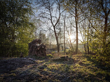 04.04.2022 - Werner Ohsam - Sonnenaufgang in Lauffen a.N.