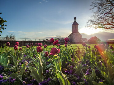 09.04.2022 - Werner Ohsam - Blick Richtung Kirche