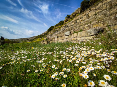 15.04.2022 - Werner Ohsam - Frühlingserwachen an Lauffener Steillage