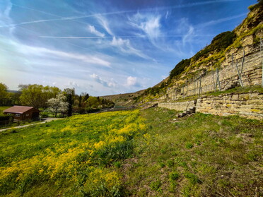 15.04.2022 - Werner Ohsam - Frühlingserwachen in den Lauffener Weinbergen