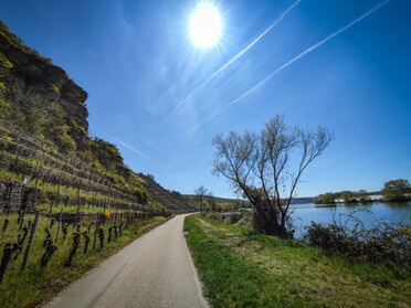 18.04.2022 - Werner Ohsam - Frühling am Neckar