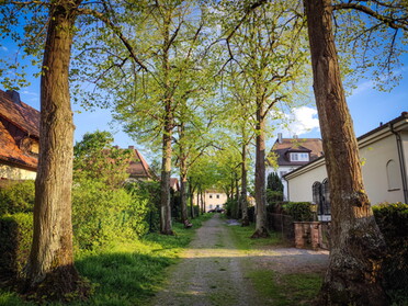 19.04.2022 - Werner Ohsam - Lauffener Allee