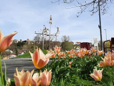 12.04.2022 - Siegfried Zimmermann - Dichterfrühling