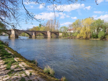 15.03.2022 - Daniela Reiner - Blick auf die Alte Neckarbrücke