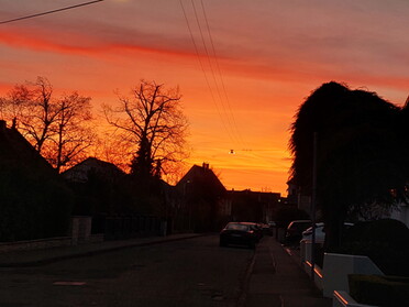 12.04.2022 - Daniela Reiner - Sonnenaufgang in der Hölderlinstraße