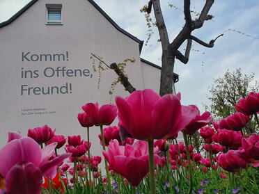 29.04.2022 - Birgit Sautter - Frühlings-Tulpen