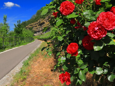 22.05.2022 - Frank-Michael Zahn - Neckartalradweg