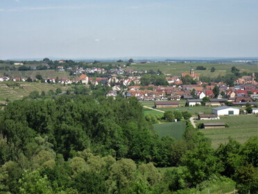 18.05.2022 - Urban Böhner-Stamm - Blick auf Lauffen