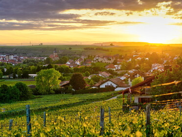 25.05.2022 - Ulrich Seidel - Blick auf Lauffen a.N. kurz vor Sonnenuntergang