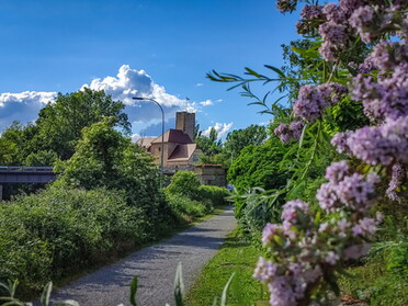 24.05.2022 - Werner Ohsam - Blick Richtung Insel