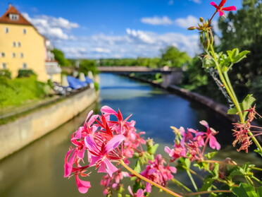 24.05.2022 - Werner Ohsam - Neckarkanal