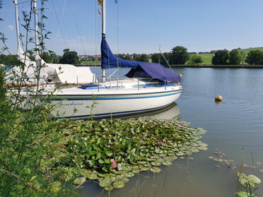 16.06.2022 - Hannah Lorenz - Maritimes Feeling in Lauffen a.N.