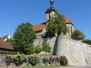 01.06.2022 - Hans-Peter Schwarz - Uferstraße mit Regiswindiskirche und Rosen             