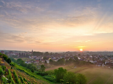 04.06.2022 - Ulrich Seidel - Sonnenaufgang über Lauffen a.N.