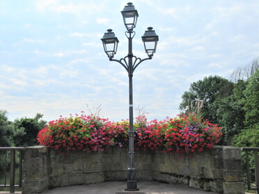 27.07.2022 - Bernhard Müller - Blumen auf der alten Neckarbrücke