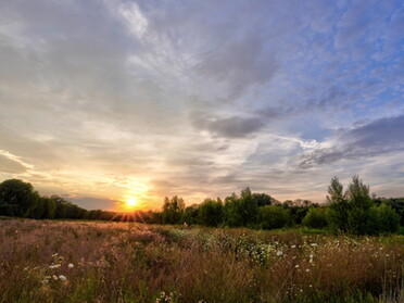 28.07.2022 - Ulrich Seidel - Sonnenuntergang zwischen Lauffen a.N. und Nordheim