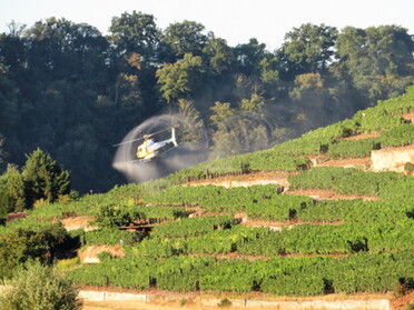 08.08.2022 - Hubschrauber-Schutzspritzung am Seeloch