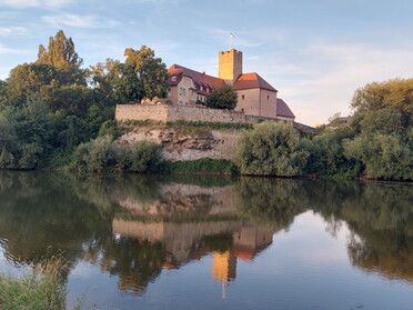 02.08.2022 - Daniela Reiner - Rathaus spiegelt sich im Neckar