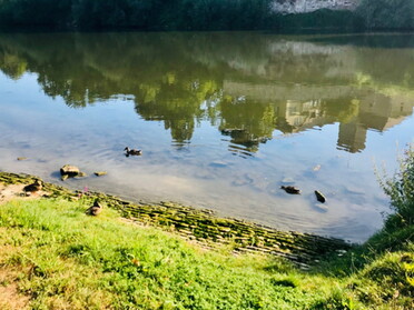 14.08.2022 - Annette Hägele - Am Neckar