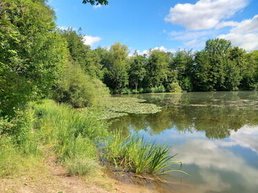 01.08.2022 - Roland Horn - Seeloch im Sommer