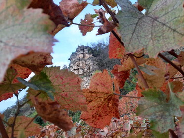 23.10.2022 - Siegfried Zimmermann - Krappenfelsen im Herbstlaub