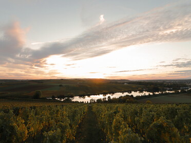 16.10.1022 - Alexandra Lell - Herbstpanorama von Lauffen a.N.