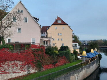 30.10.2022 - Siegfried Zimmermann - Herbstliches Farbenspiel am Neckar