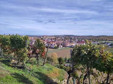 23.10.2022 - Sabine G. Marquardt - Blick zum Städtle