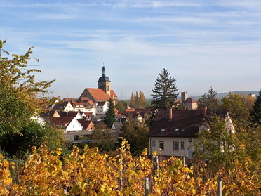 11.11.2022 - Roland Horn - Dorf mit Rathausburg